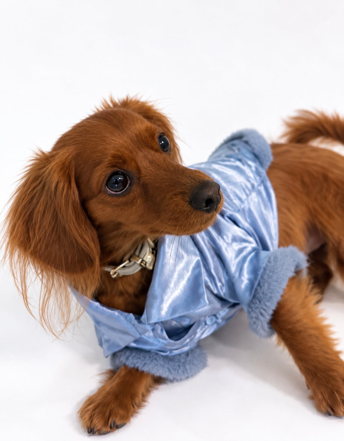The Marlowe PJs