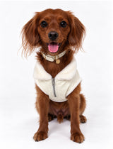 The Butter Coat