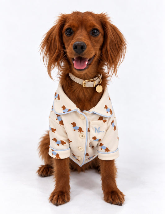 The Snuggles PJs