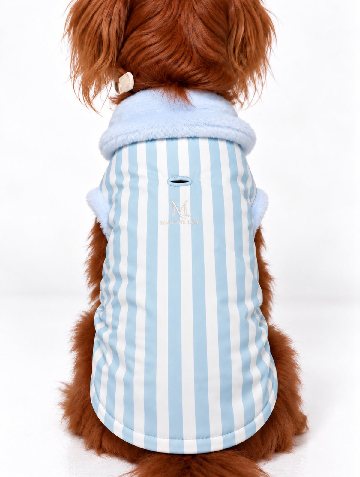 The Hamptons Coat