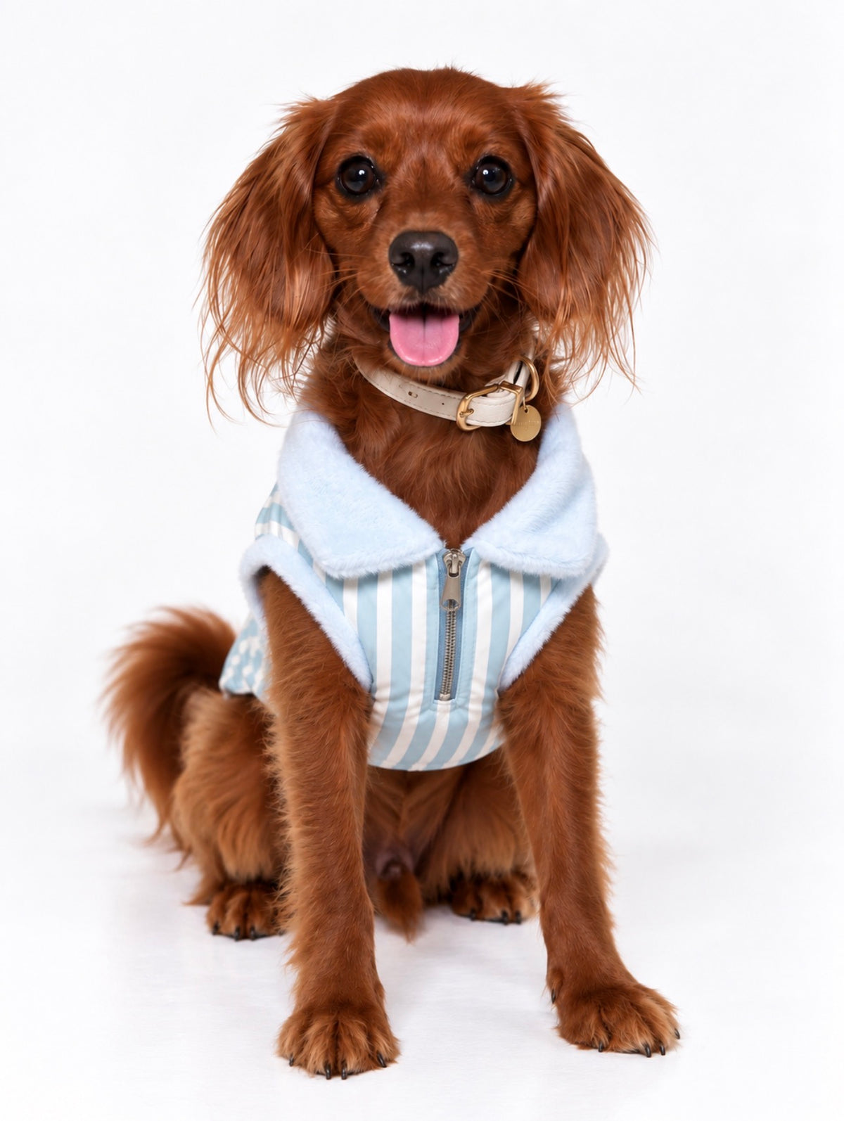 The Hamptons Coat