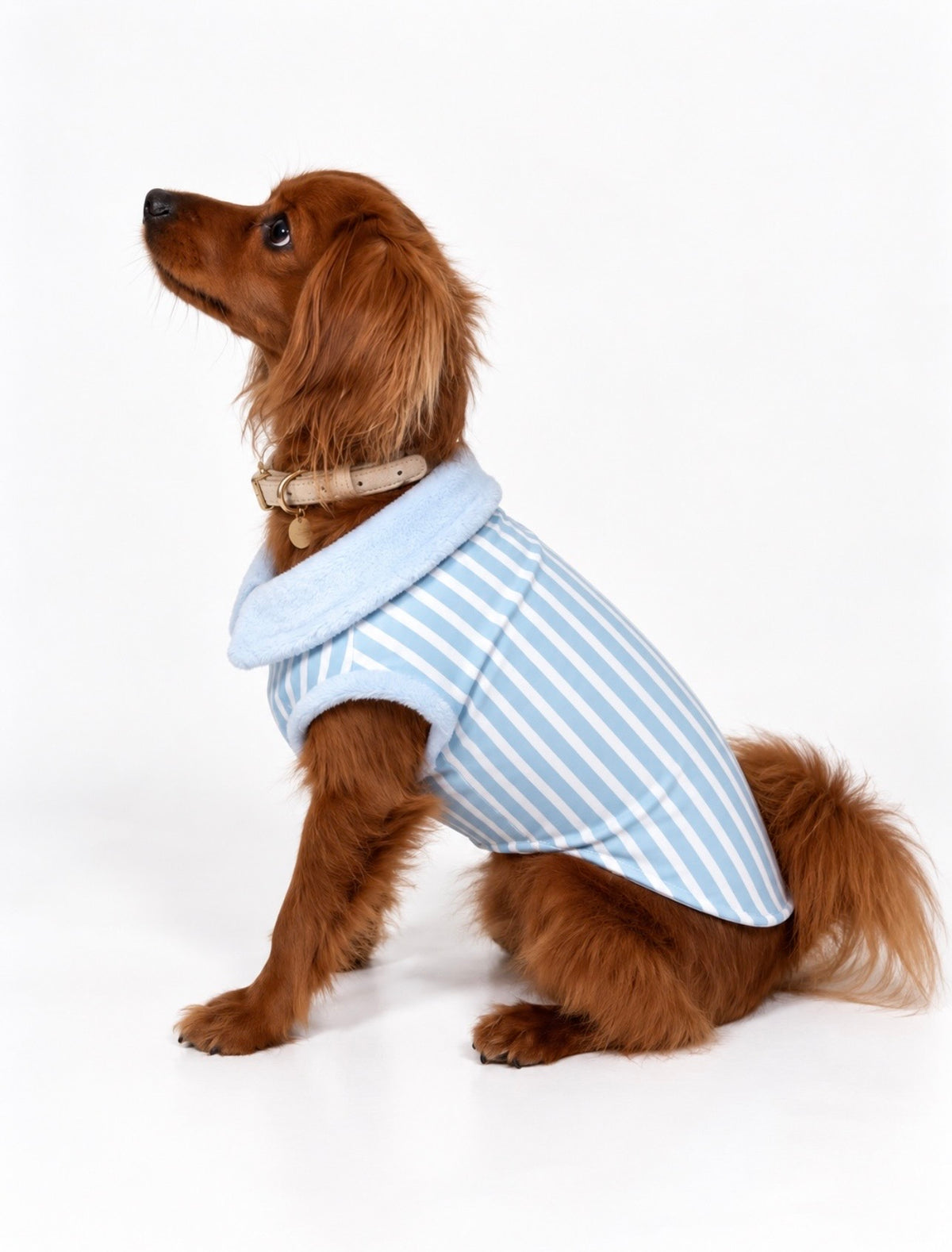The Hamptons Coat